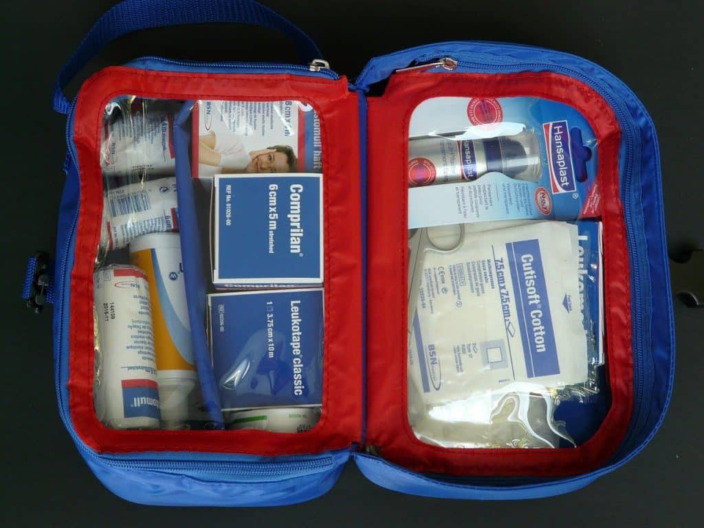 Basic First Aid Kit For Your Dog
