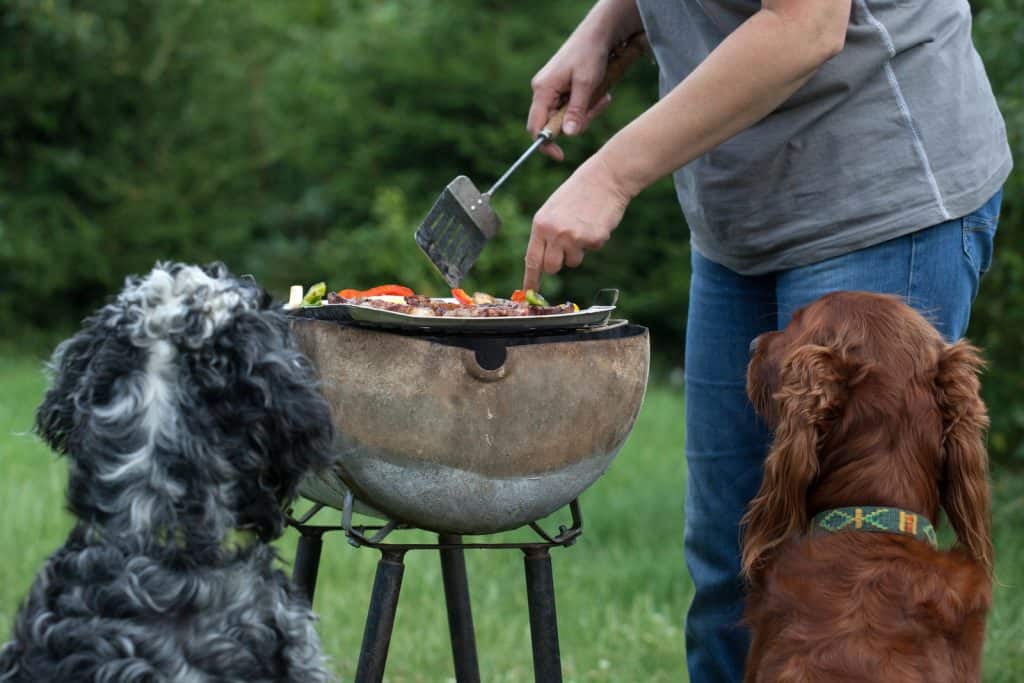 Cookouts tend to be a smorgasbord of hazardous foods making it a summer dog danger 