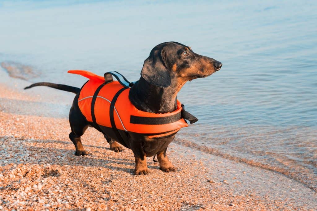 Life jackets are important beach safety tools.