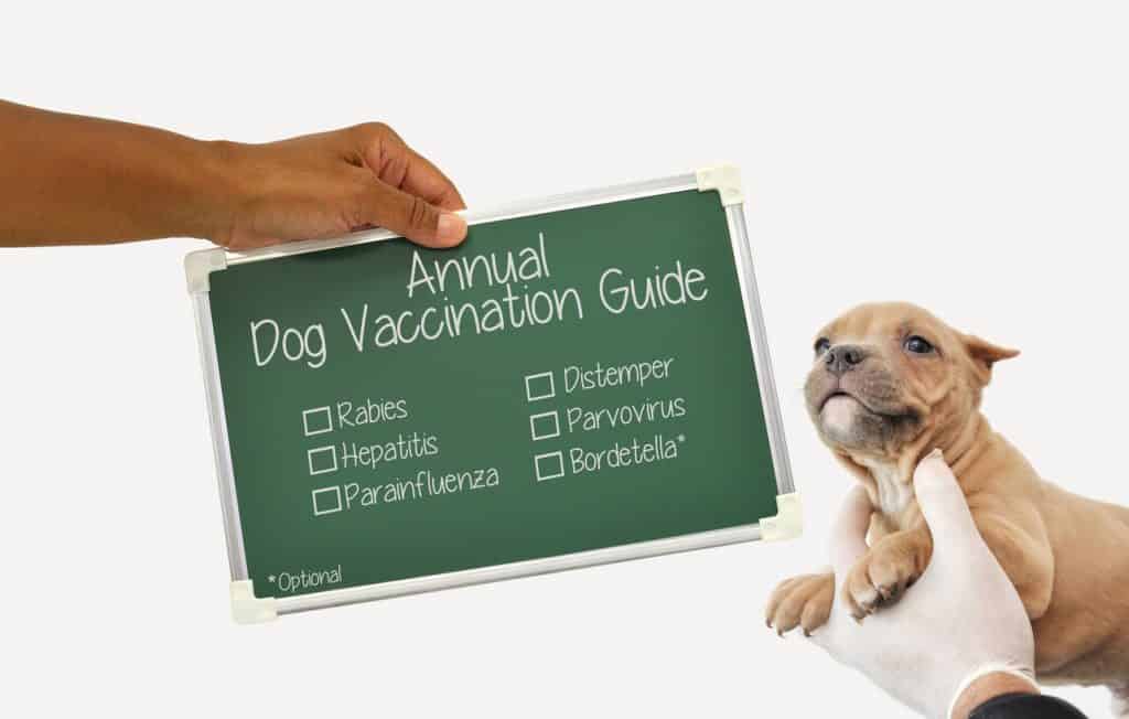 General guide to puppy vaccinations.